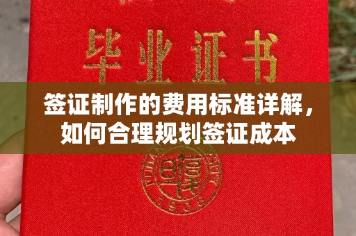 石排签证制作的费用标准详解，如何合理规划签证成本